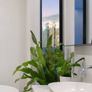 plants shop product gallery img 20